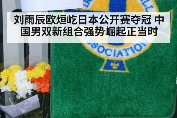 刘雨辰欧烜屹日本公开赛夺冠 中国男双新组合强势崛起正当时